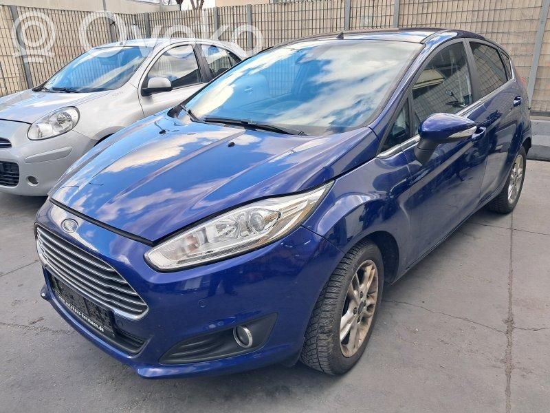 Fiesta Fiesta  1911580