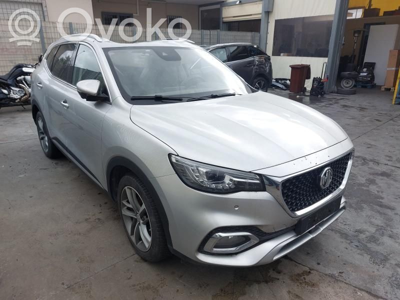 HS HS  10900419