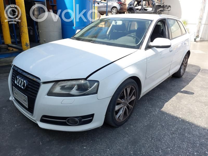 A3 S3 A3 Sportback 8P A3, S3  03G105243