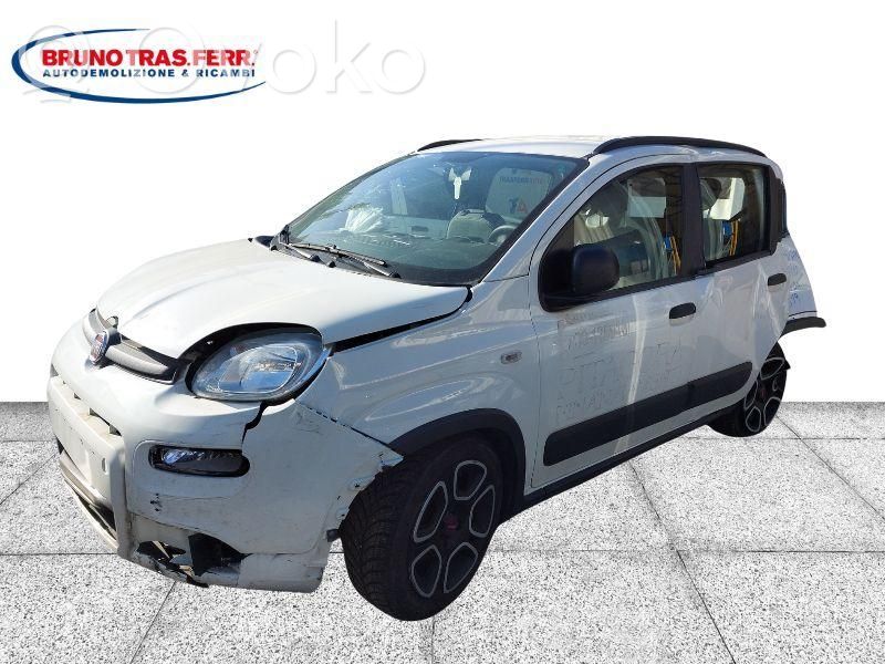 Panda III Panda  52179904