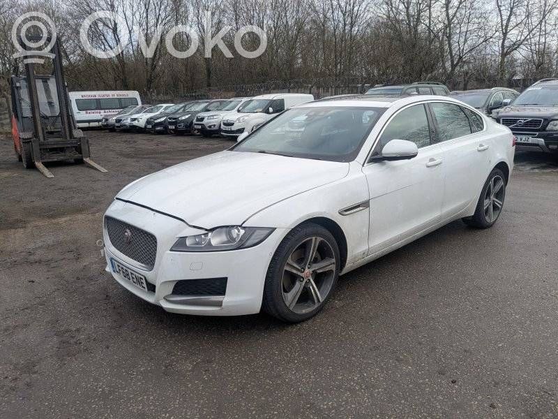 XF X260 XF  FK7219C166BD