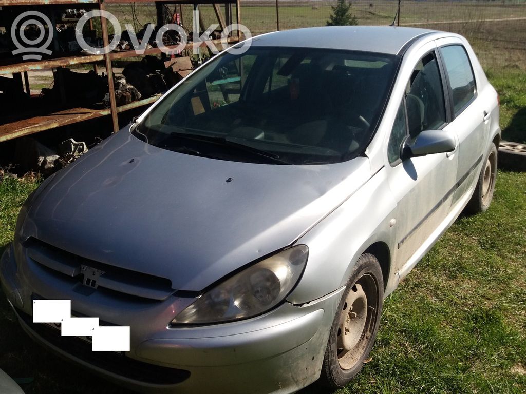 307 307  9635739780