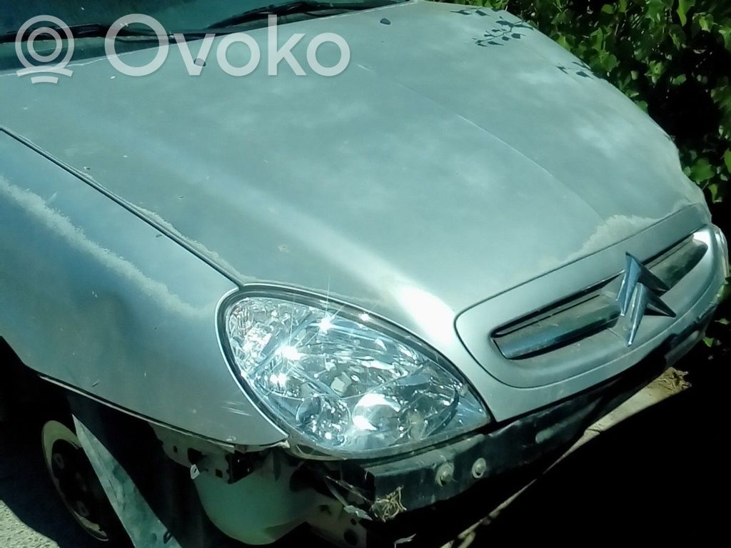 Xsara Xsara, Xsara Picasso