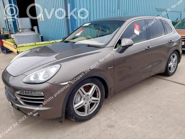 Cayenne (92A) Cayenne  CS1521