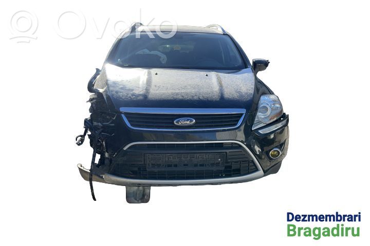 Kuga I Kuga