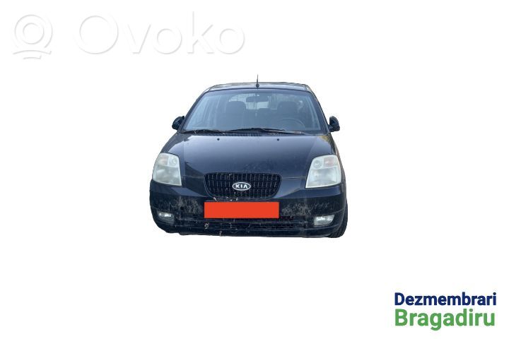 Picanto Picanto