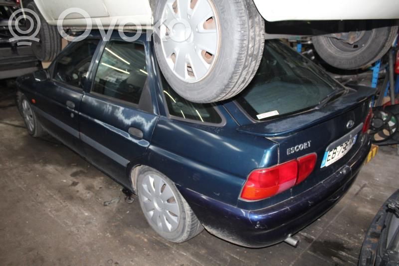 Escort Escort  1406071