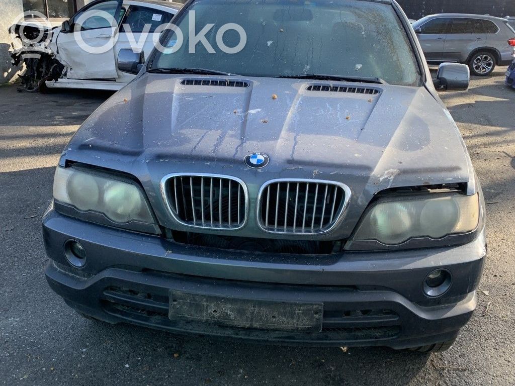 X5 E53 X5  61318368920