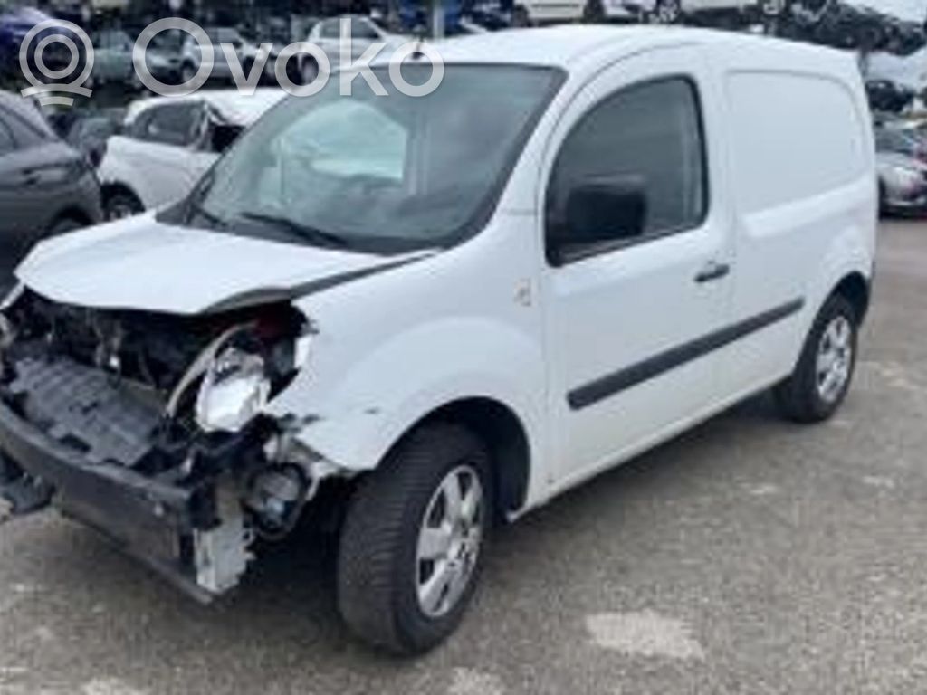 Kangoo II Kangoo  739017655R