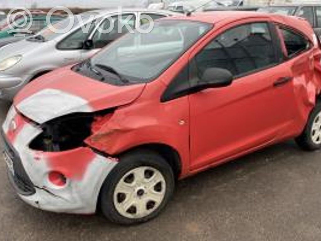 Ka Ka  1552002
