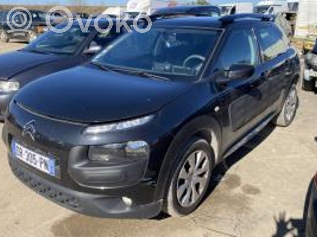 C4 Cactus C4 Picasso, Grand Picasso, Aircross, Cactus  1621679580