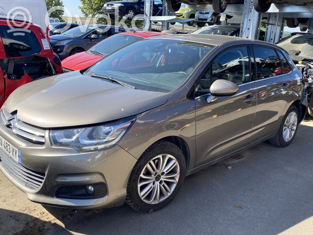 C4 II C4 Picasso, Grand Picasso, Aircross, Cactus  1623214980