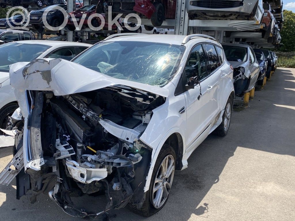 Kuga II Kuga  5110131