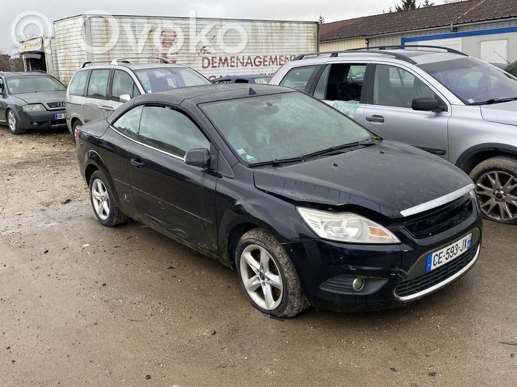 Focus Focus  1708682