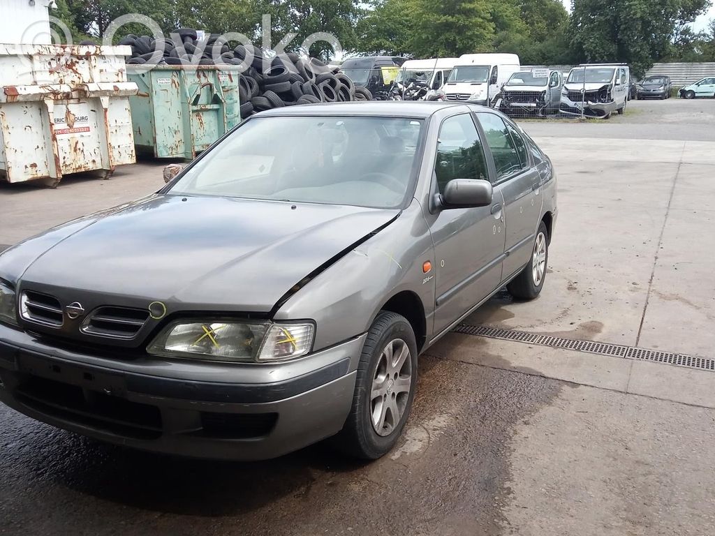 Primera Primera  254012F825