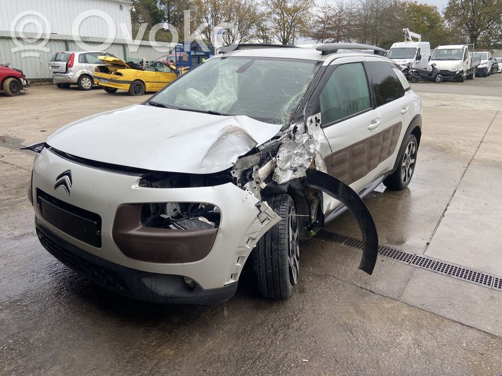 C4 Cactus C4 Picasso, Grand Picasso, Aircross, Cactus