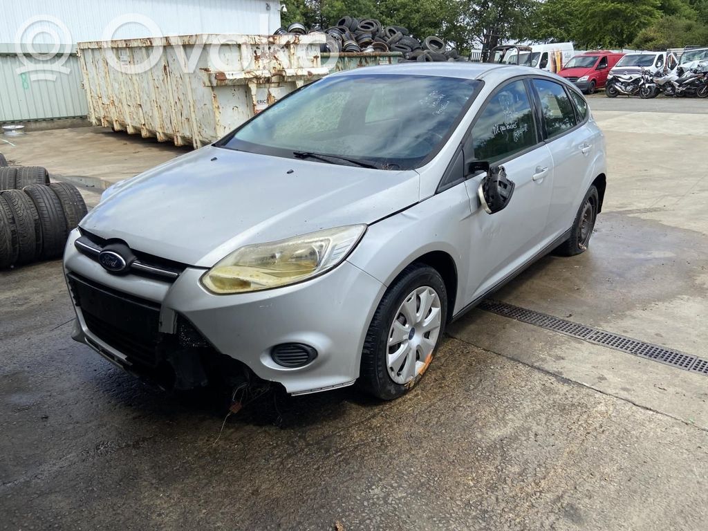 Focus Focus  2048467
