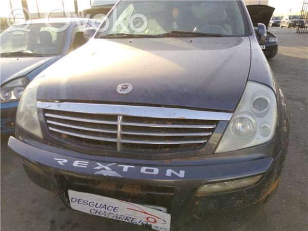 Rexton Rexton