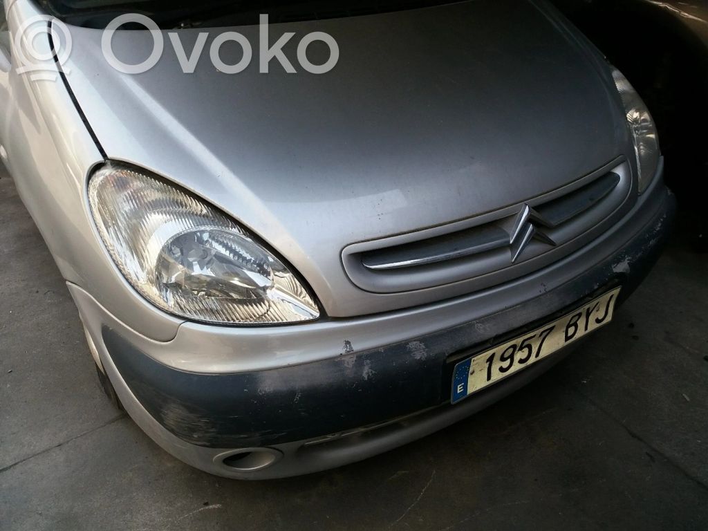 Xsara Xsara, Xsara Picasso  1938J6