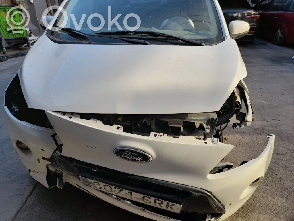 Ka Ka  1570923