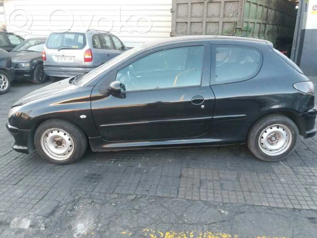 206 206, 206+  0281011560