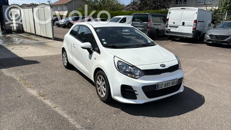 Rio Rio  972501W290