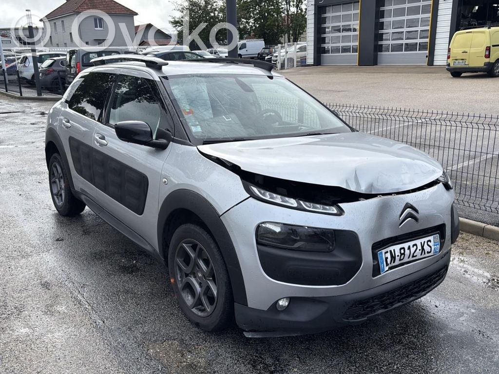 C4 Cactus C4 Picasso, Grand Picasso, Aircross, Cactus  9821060580