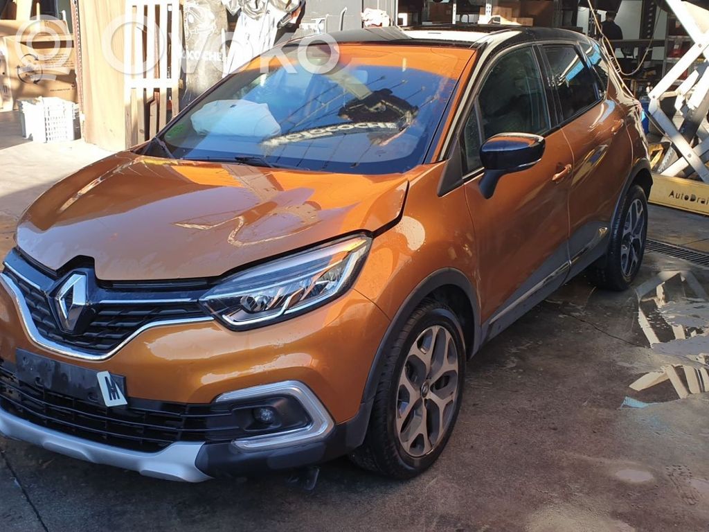 Captur Captur  254113300R
