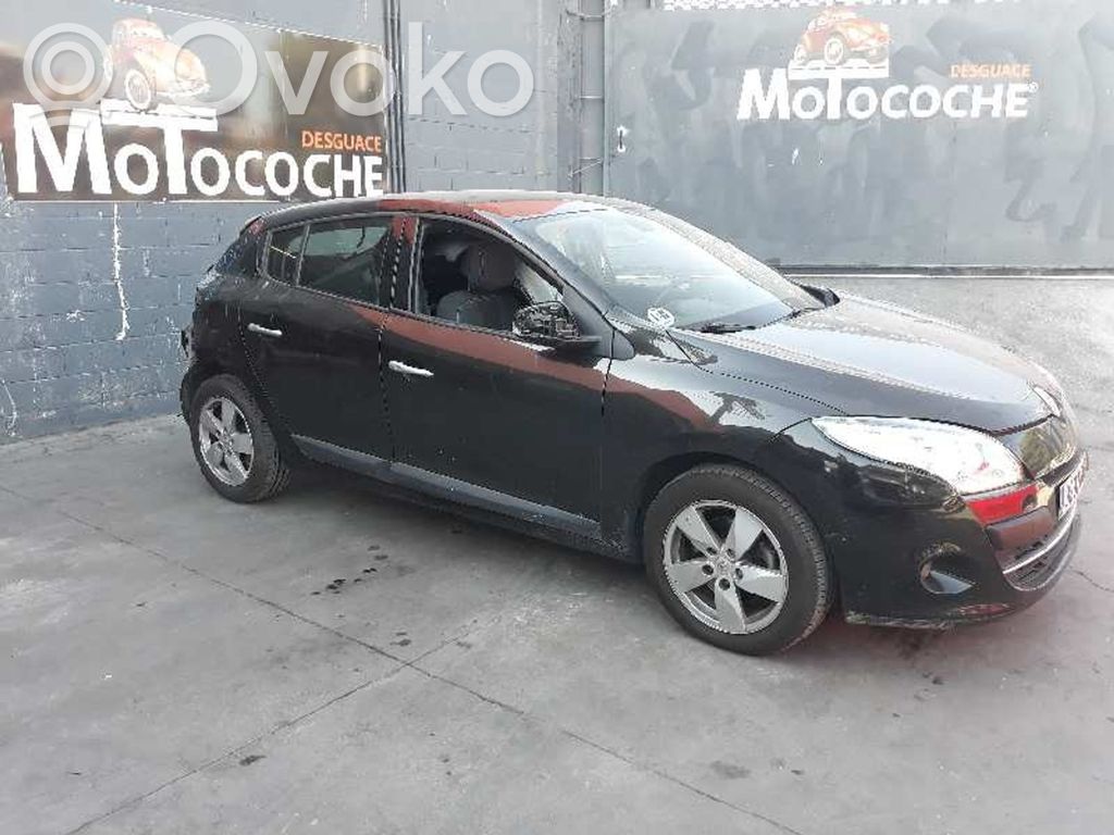 Megane II Megane  251450002RA