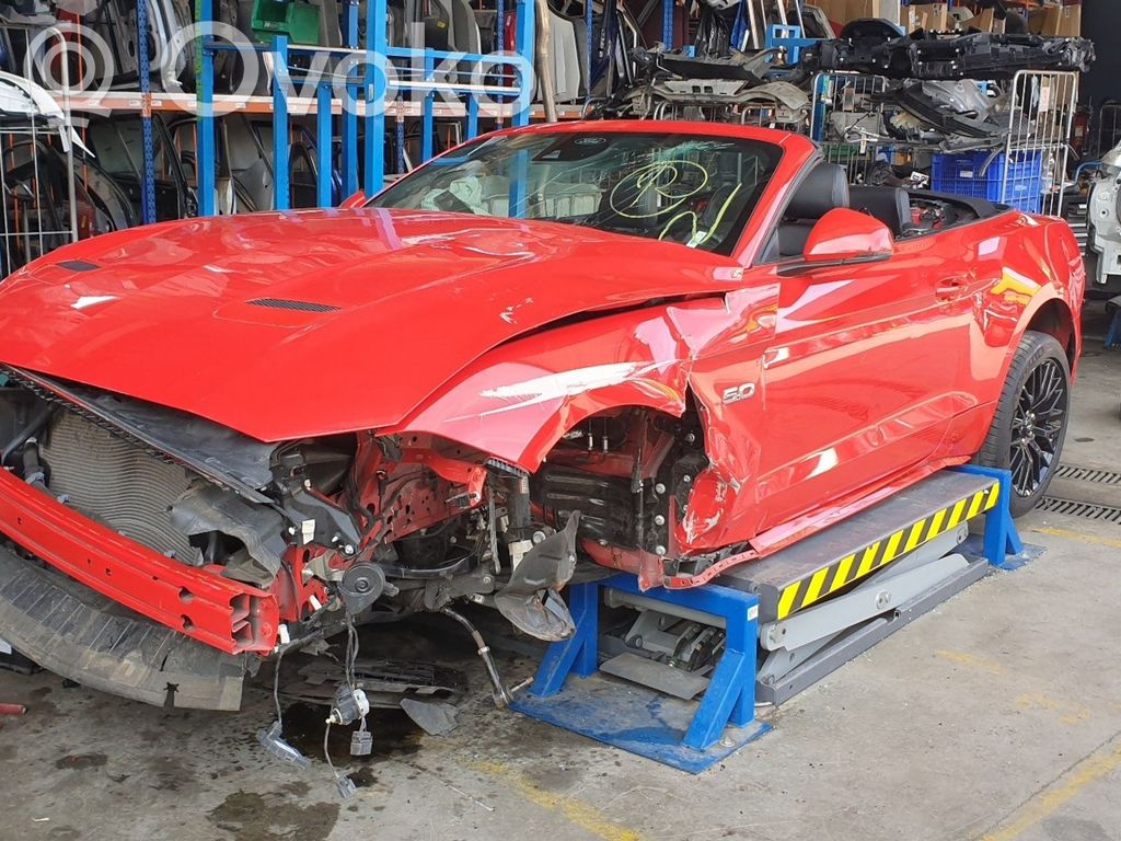 Mustang VI Mustang  FR3T19B514AAW