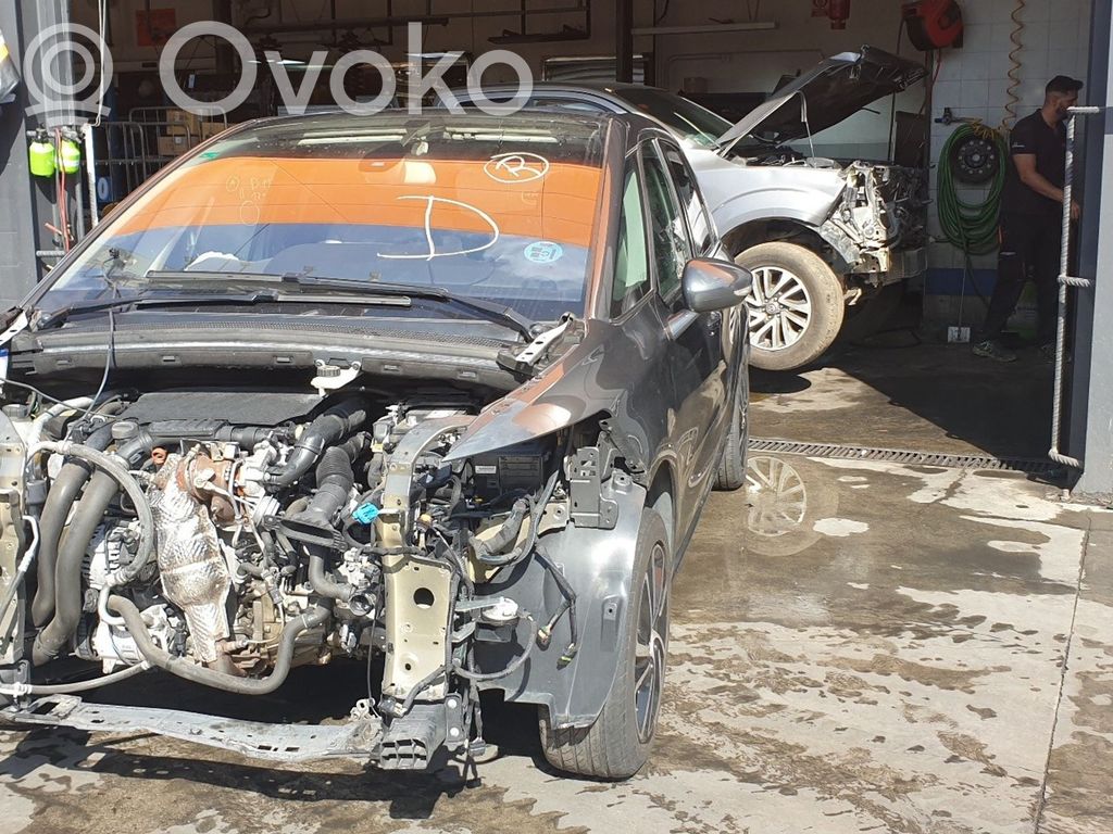C4 Cactus C4 Picasso, Grand Picasso, Aircross, Cactus  9818677980