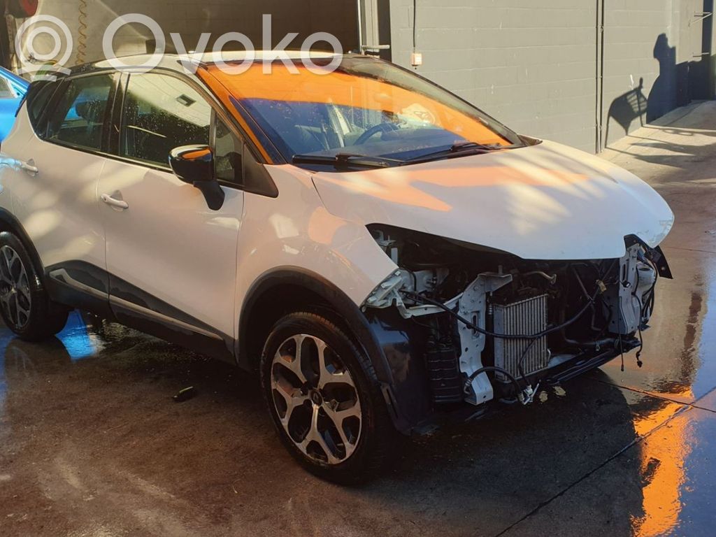Captur Captur  214818009R