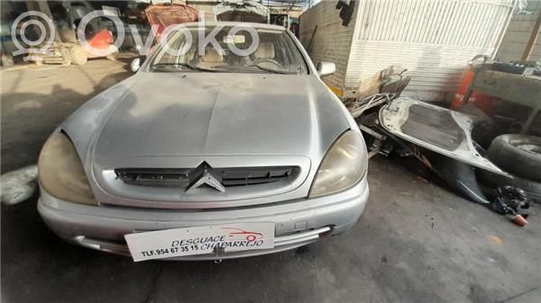 Xsara Xsara, Xsara Picasso