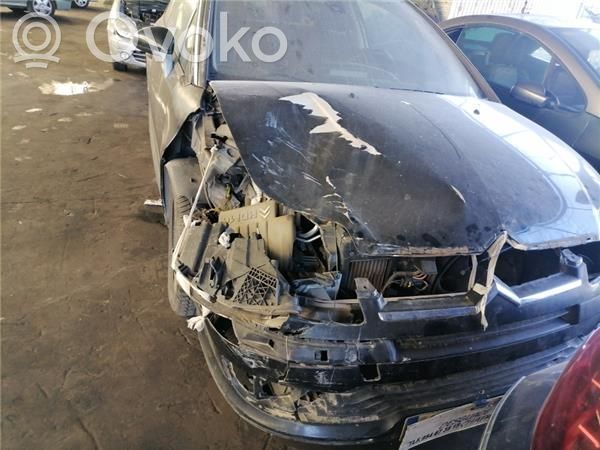 C4 I C4 Picasso, Grand Picasso, Aircross, Cactus