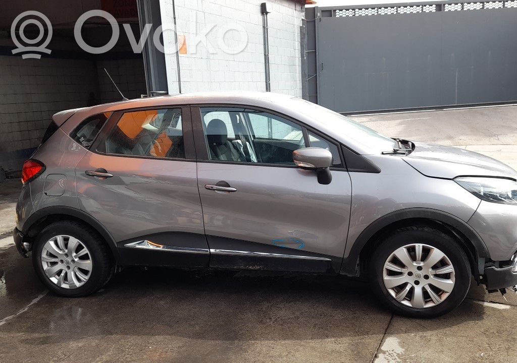 Captur Captur  254216614R