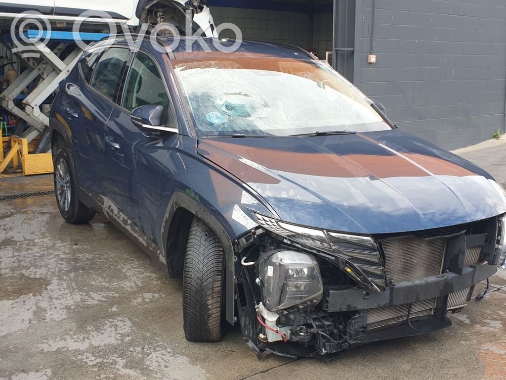 Tucson TL Tucson  296702U000