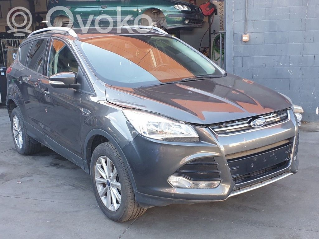 Kuga II Kuga  1841986