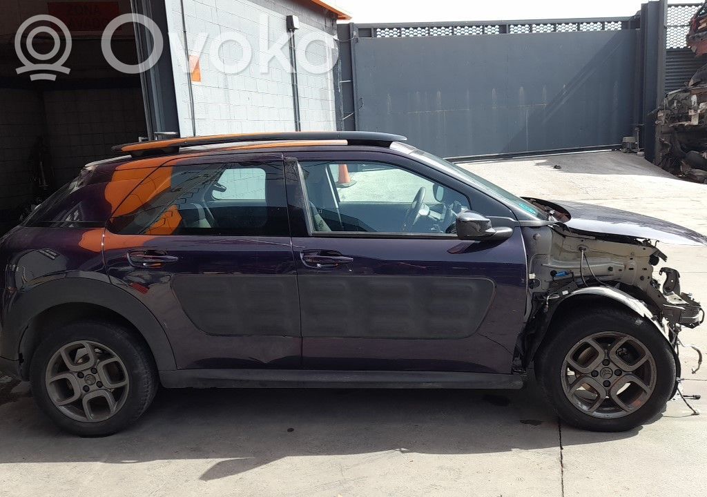 C4 Grand Picasso C4 Picasso, Grand Picasso, Aircross, Cactus  9807156080