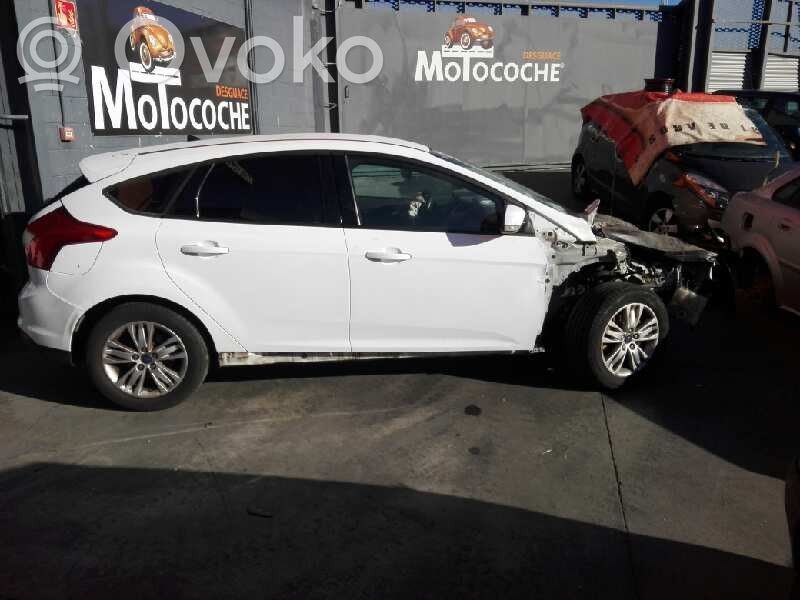 Focus Focus  1769420