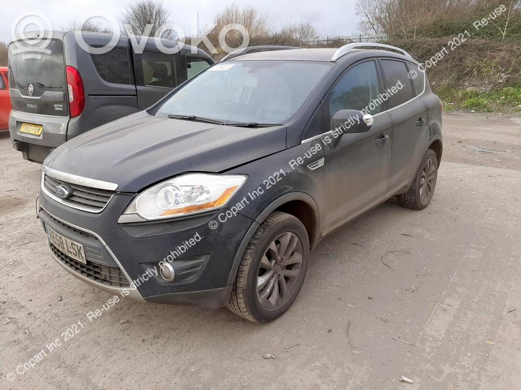 Kuga I Kuga  10170103543