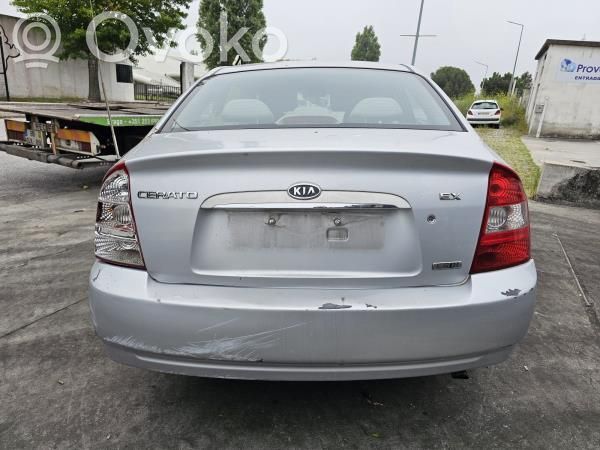 Cerato Cerato