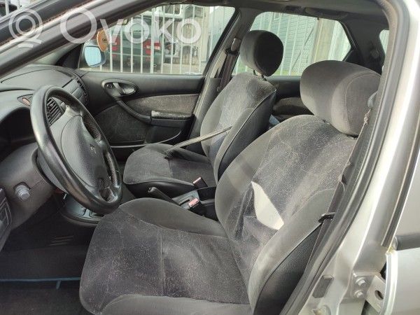 Xsara Xsara, Xsara Picasso
