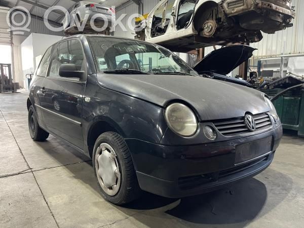 Lupo Lupo