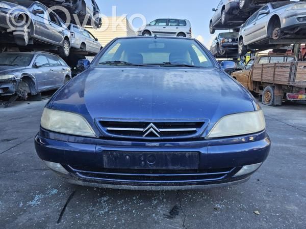 Xsara Xsara, Xsara Picasso