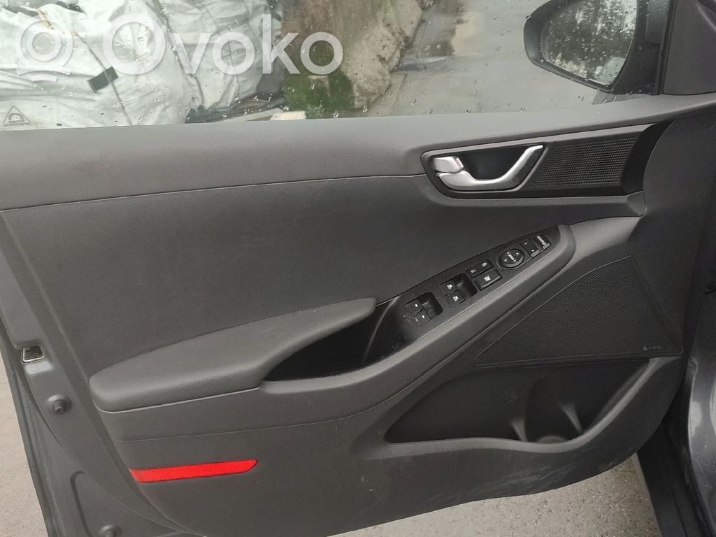 Ioniq Ioniq