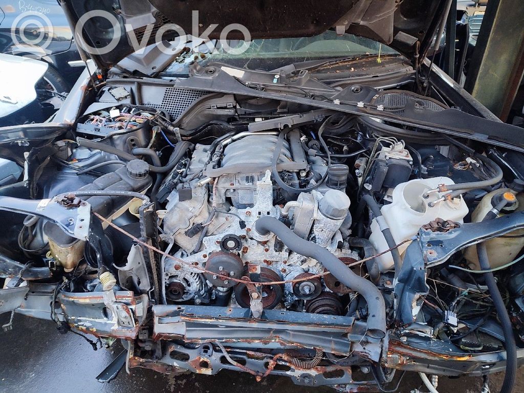 E W210 E-class, AMG (W124, W210, W211, W212, W213, C207, W238)