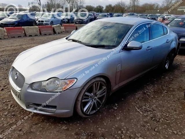XF X250 XF  8X23600D00A