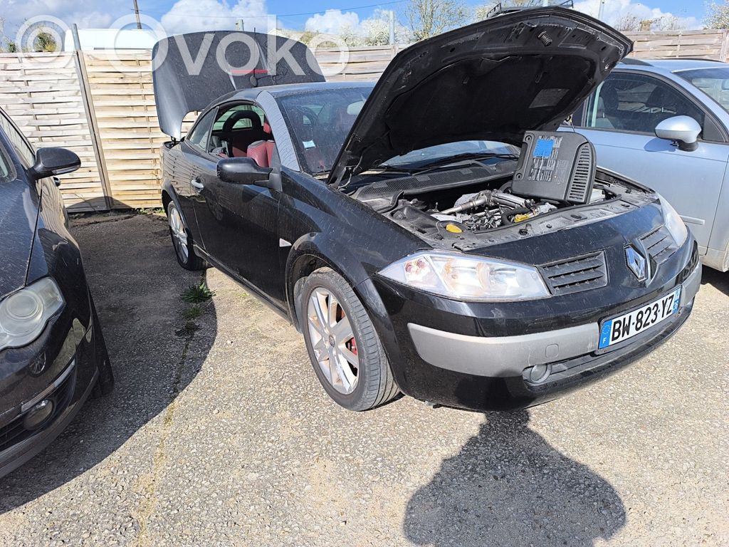 Megane II Megane  8200730471
