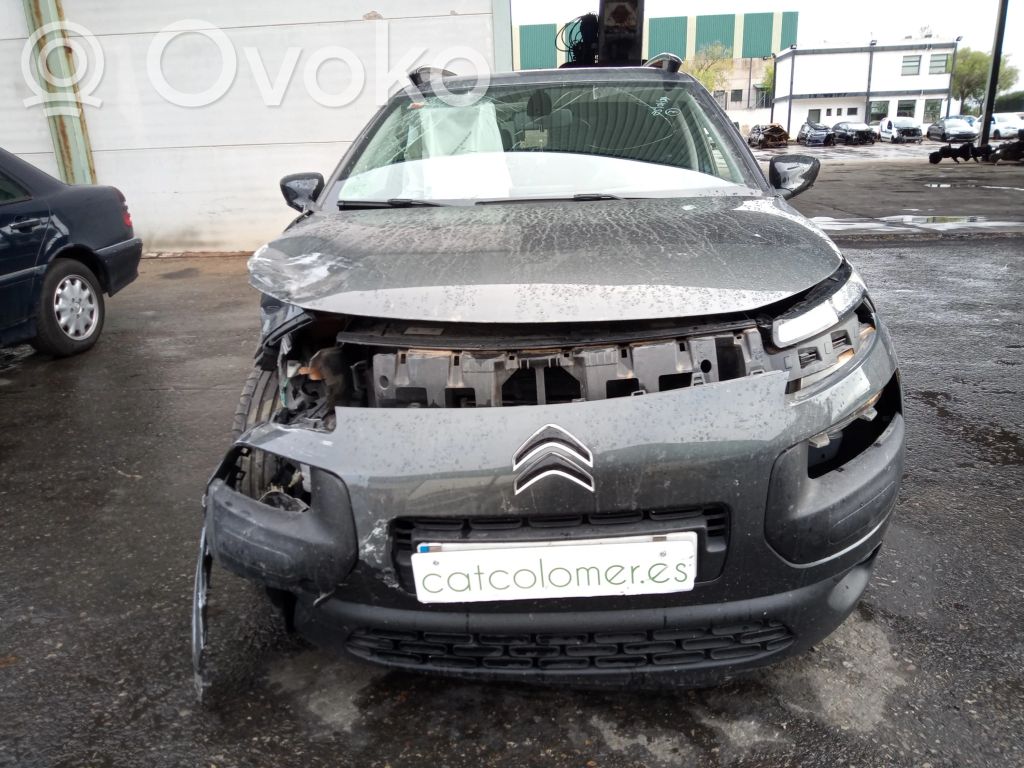 C4 Cactus C4 Picasso, Grand Picasso, Aircross, Cactus  E1064159