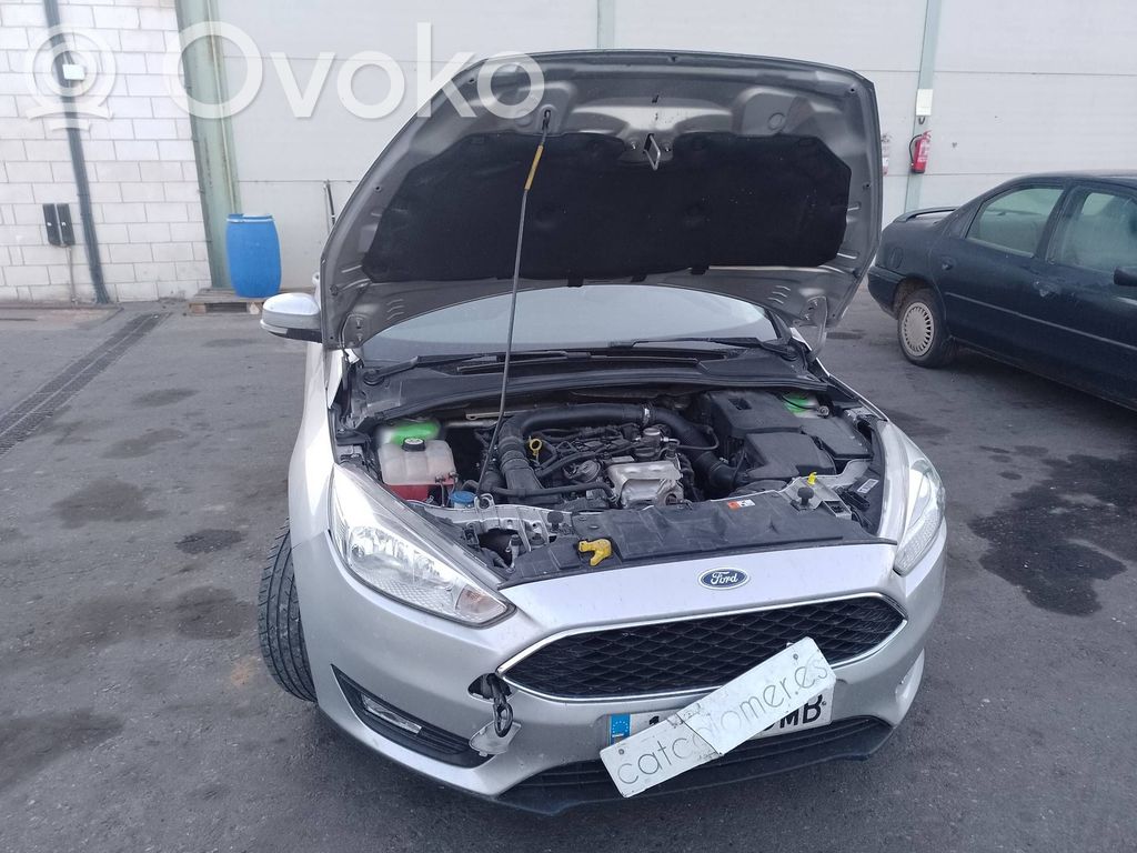 Focus Focus  X1436002